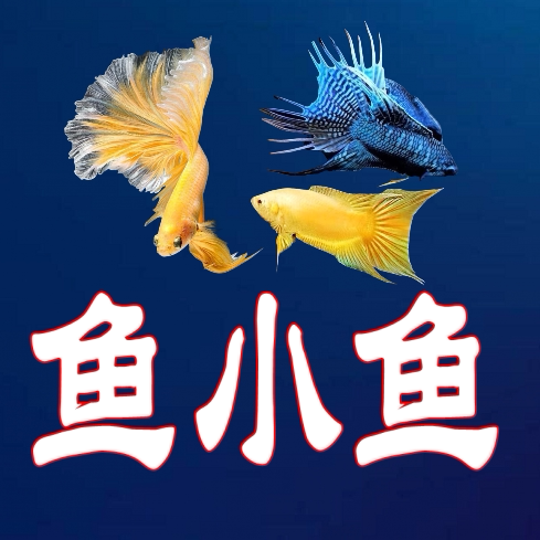 鱼小鱼特卖的LOGO