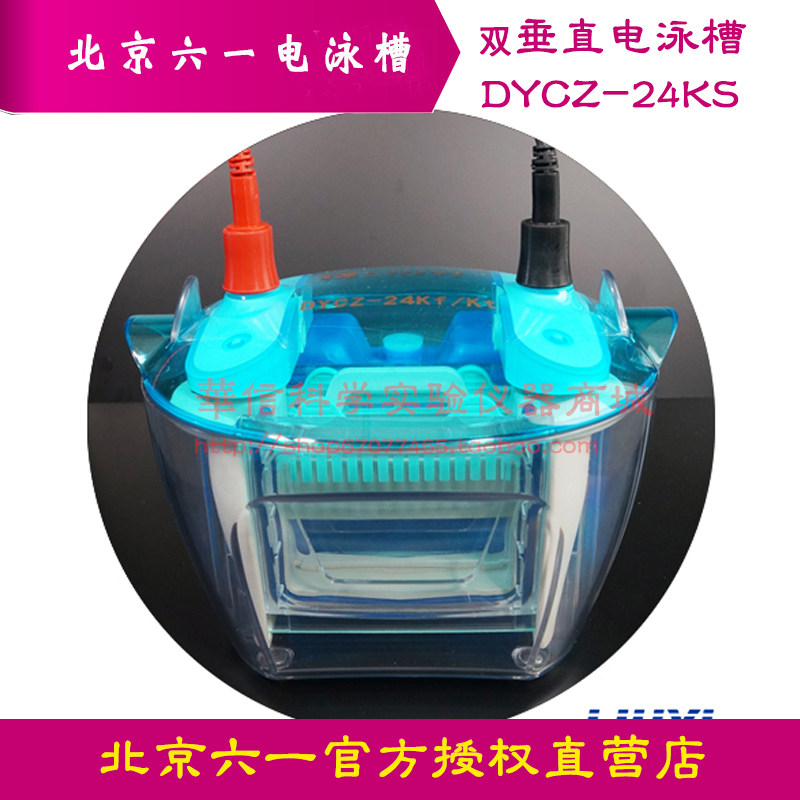 北京六一双板垂直电泳槽DYCZ-24KS标准型电泳仪