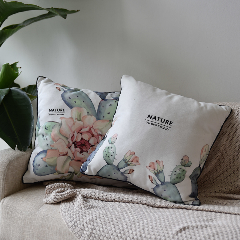 Pyuka in Nordic in advanced luxury sofa with pillow cactus geometry mat cotton and Moroccan model room