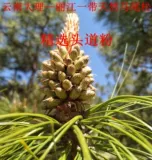 Юньнанская сосна пыльца натуральная сломанная настенная сосна производители пыльцы на искреные прямые продажи 100 грамм 20 юань специальная пыльца сосны