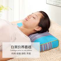 Stock clearance-cervical pillow repair health pillow neck pillow buckwheat shell skin court square pillow 2 7kg