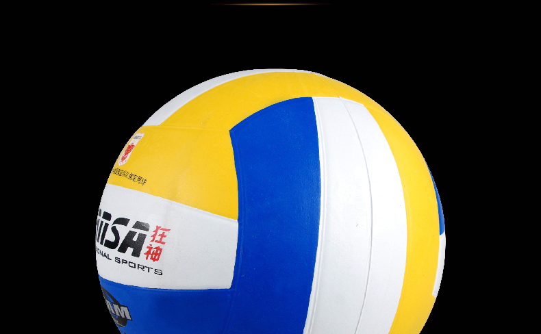 Ballon de volley-ball - Ref 2008003 Image 8