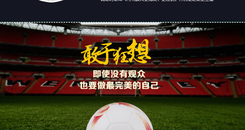 Ballon de football - Ref 5661 Image 19
