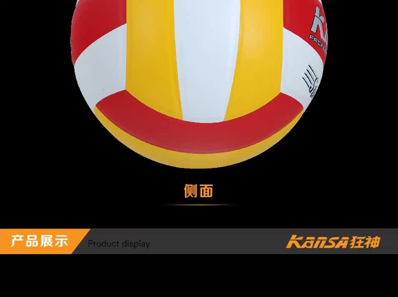 Ballon de volley - Ref 2008207 Image 16