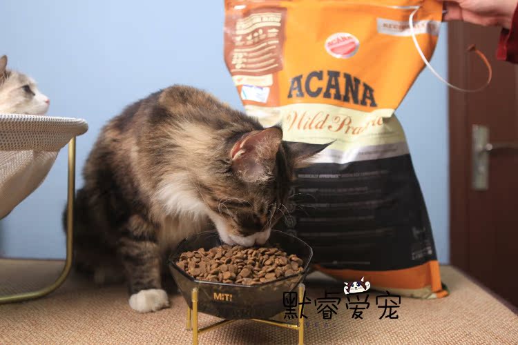 Love Kenna Cat Food Canada Nhập khẩu ACANA Cat Food Chicken 5.4kg Natural Valley Cat Food Whole Cat Food - Cat Staples hạt cho mèo