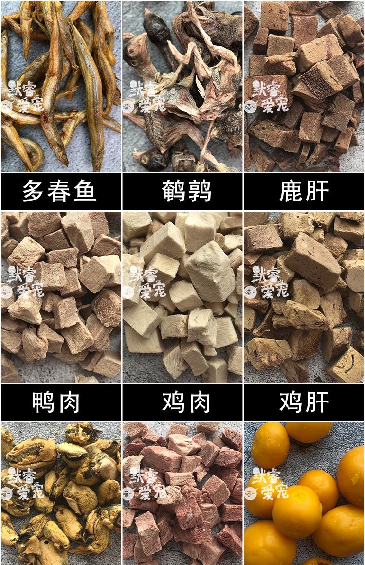 鹌鹑 đông khô thịt bò nhỏ cá khô mèo ăn nhẹ gà đông lạnh thức ăn cho mèo khô mèo ăn nhẹ dinh dưỡng vỗ béo - Đồ ăn nhẹ cho mèo thức ăn mèo con