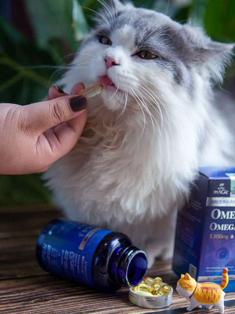 America's most charming deep-sea salmon oil cats use beauty hair skin care soft capsule nutrition and health care products for cats