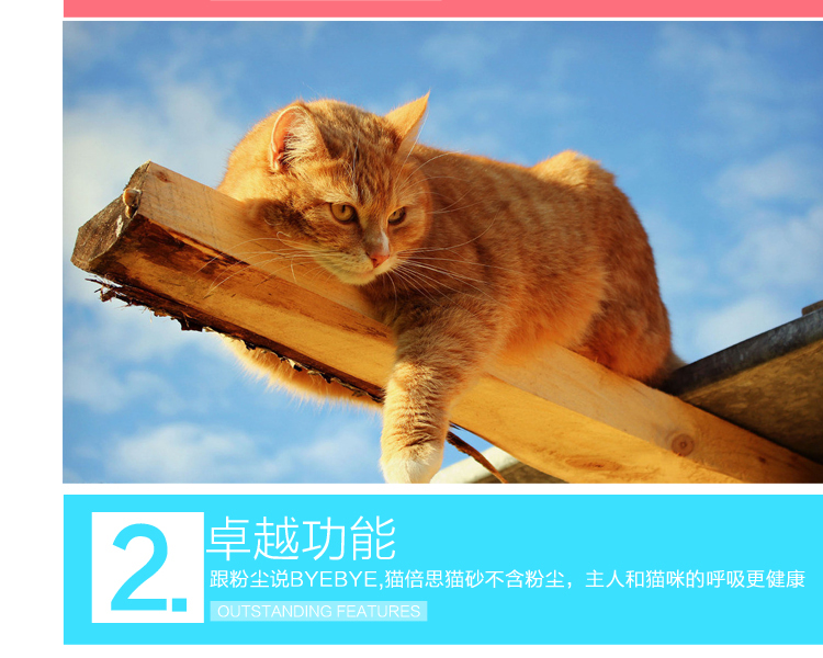 CAT Mèo Đức CAT "> <kiểu đầu vào = - Cat / Dog Beauty & Cleaning Supplies lược chải bông lông chó	