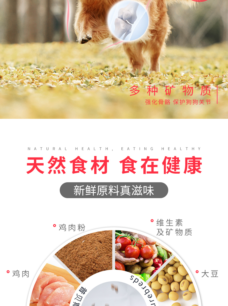 Quán rượu ưa thích thức ăn cho chó 8kg người lớn trưởng thành tự nhiên trưởng thành Teddy VIP Golden Hair Labrador - Chó Staples thức ăn cho chó pedigree