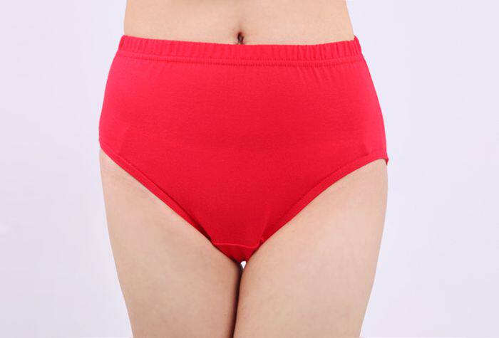 Slip W19802 en coton - Ref 644263 Image 29