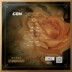 Cai Jing: Sweet Honey (Âm nhạc cổ điển của Teresa Teng) Bản gốc 180g Gramophone LP Vinyl chính hãng - Máy hát
