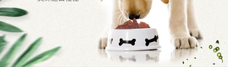 Đồ ăn vặt Gà Gà cắt tỉa ức Thú cưng Đồ ăn nhẹ cho chó Thú cưng Gà khô 100g bánh thường cho chó