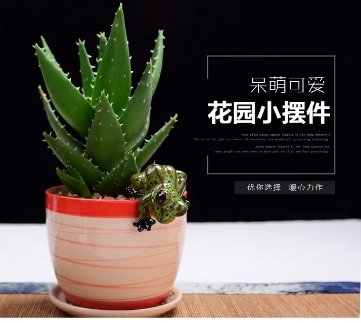 Sáng tạo gốm mô phỏng ếch máy tính để bàn nhỏ đồ trang trí thịt hoa chậu cảnh quan vi DIY DIY phòng khách trang trí đồ dcor bàn học