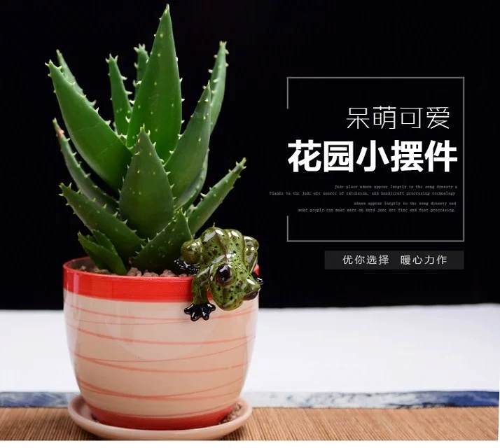 Sáng tạo gốm mô phỏng ếch máy tính để bàn nhỏ đồ trang trí thịt hoa chậu cảnh quan vi DIY DIY phòng khách trang trí