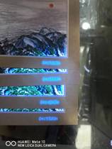 2021-20 Jiangshan So Duo Jiao Stamp Sheetlet First Four-Color Engraved Leopard No. 222