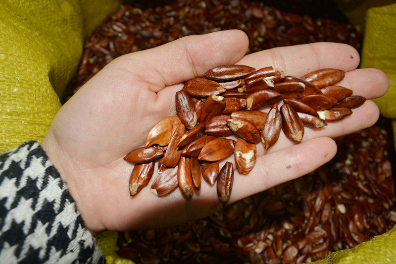 olive red with skin olive kernel olive kernel sandwich cake raw material oil extraction raw material moon cake filling 500g