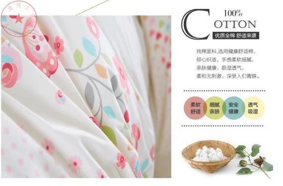 Khăn trải giường bằng vải cotton voan cộng với sợi giường váy đơn nhóm giường 1,2 m 1,5 m 1,8 m giường