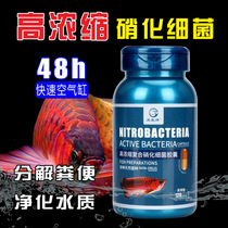Nitrifying bacteria Fish tank supplies Aquarium dry powder Water purifier Stabilizer Live bacteria Digestive bacteria Nitrifying bacteria capsules