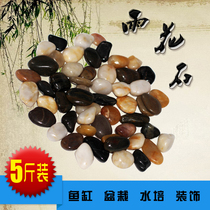 Multicolored natural pebbles Nanjing rain stone rough stone fleshy flower pot fish tank decorative stone small stone courtyard
