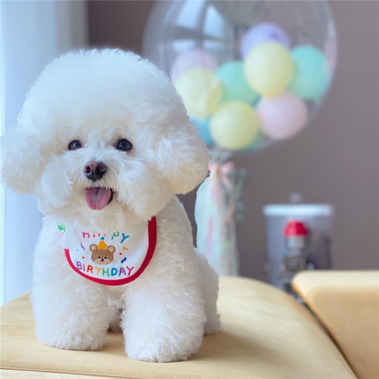 Korea Cute Little Bear Birthday Embroidered Dog Bib Kitty Pet Saliva with Bear Teddy Bou Mei Scarf-Taobao