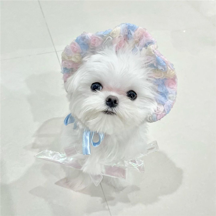 INS Wind South Korea Summer Autumn Mermaid Ji Embroidered Hat Dog Cat Maltese Strap Pet Style Hat