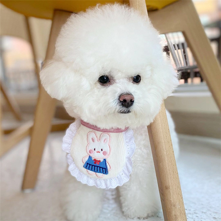 South Korea Cute Pooch Bib Pet Little Rabbit Saliva with Bears Snow Nareytedi Dog Ins Neck Cat-Taobao