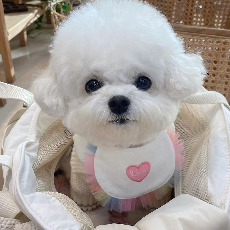 Sticky rice Korea Cute Loving Little Bear Embroidered Dogs Cat Pet Containment scarves with Bear Teddy Scarf-Taobao