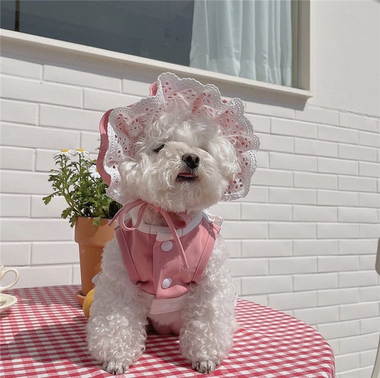 INS Wind Korea Summer and autumn female servant lace dress embroidered hat puppies big-band Pet Pets Styling Hats-Taobao
