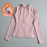 Фиолетовый розовый (более толстые шлифовальные волосы маленький теплый бархат)