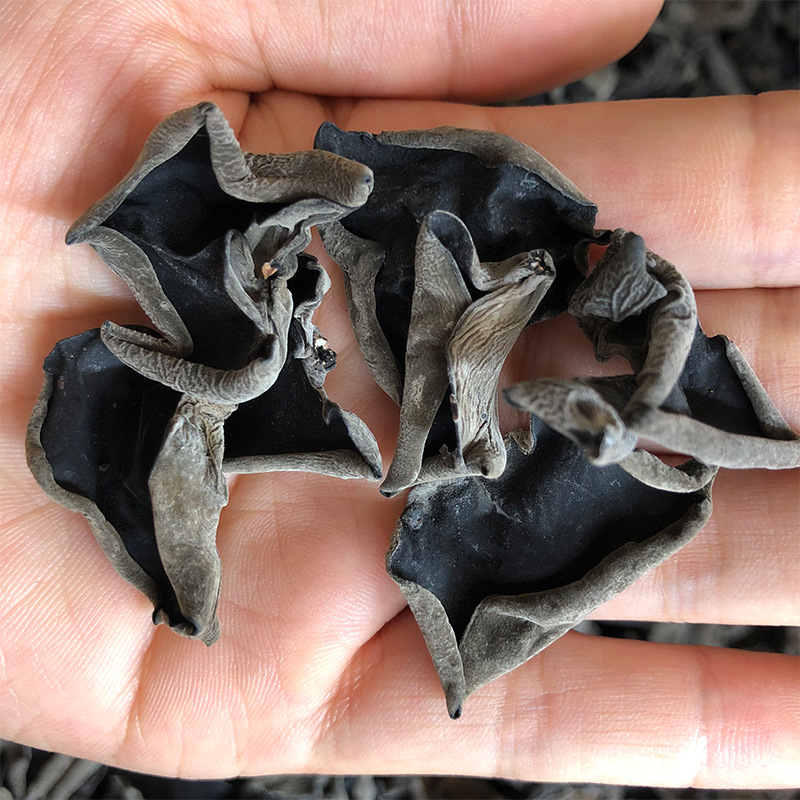 Northeast Black Agaric Dry Goods 500g Linden Wood Rootless Cloud Ear Farmhouse Agaric Earth Production Autumn Agaric Bulk