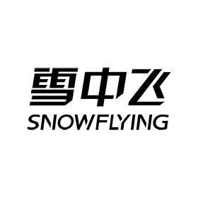 雪中飞服饰折扣店
