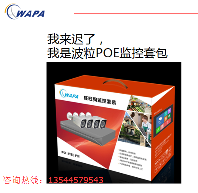 Wave grain 2 million H265 Wangwang dog suit infrared 1080PPOE HD digital internet camera