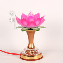 Buddhas front lights bright lights long lights Buddha Hall Guanyin lights pink lotus lights Taiwan style flowers atmosphere