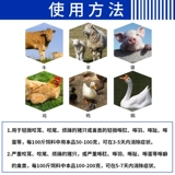 Копировать укус и красть линг -линг -линг -пера, очищающий перо, пахтеть кусочек, кусочек укус укус, птица, пимал Элерт Пик, витамин битва, Элемид