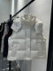 European Style Short down Vest 2025 Autumn and Winter New Luxury Women's Fashion Vest 90% White Duck down Same Style as in Shopping Malls