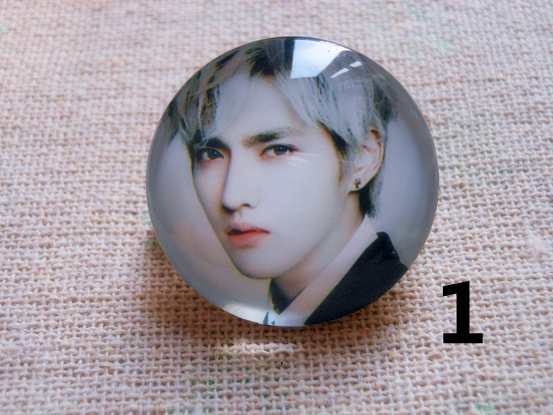 Broche en cristal artificiel - Ref 1172406 Image 10