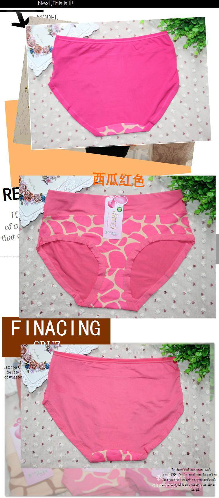 Slip Moyen-âge simple en coton - Ref 645206 Image 49