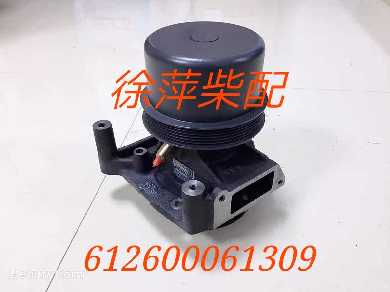 WD61506SB Weichai Pump 612600061309 Weifang Steyr WP10 Pump 612600061228