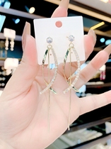 Dongdaemun flash diamond micro-inlaid zircon silver pin female long tassel personality fashion wild earrings 2021 New