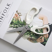 Little House) stainless steel · multifunctional kitchen scissors