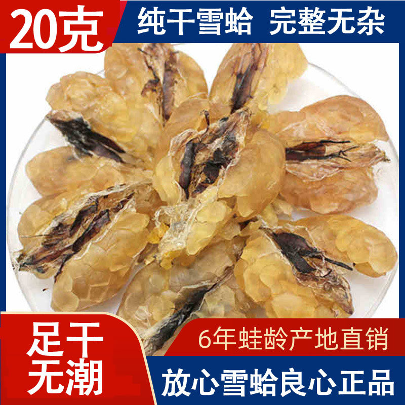 Changbai mountain foot dried snow clam oil forest frog oil toad oil northeast federation snow ha paste papaya stew snow clam 20g