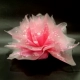 20 Zhang Yali Pink Pink Pour Pour