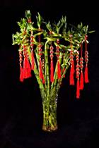 Bonsai pendant Spring Festival small lantern ornaments wedding room festive tree New year decoration interior scene layout