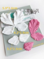 Набор цветов пиона 6