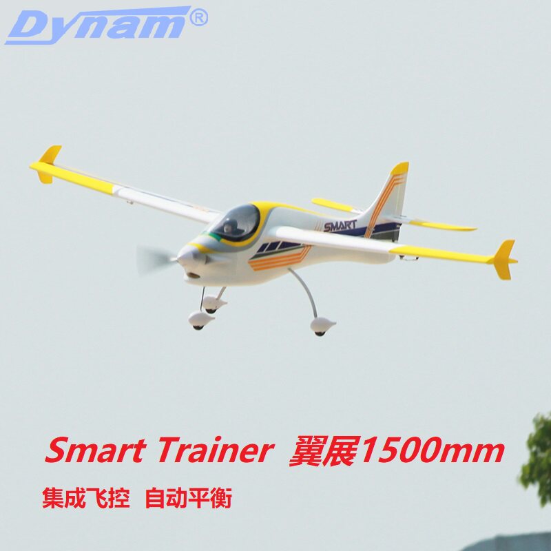 Di Lemei Dynam Smart Trainer Wingspan 1500mm 3D Trainer Electric Remote Control Model V3