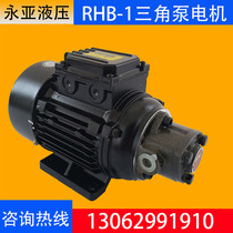 RHB-1 1 6 2 5 3 15 4 triangular cycloidal lubricating oil pump 120W lubricating oil pump 220V motor group JZ