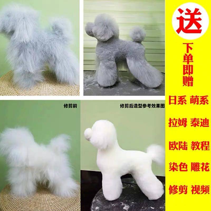 Rui pet grooming practice Teddy VIP fake hair model fake dog hair piece fake head hair fake back hair whole body hair