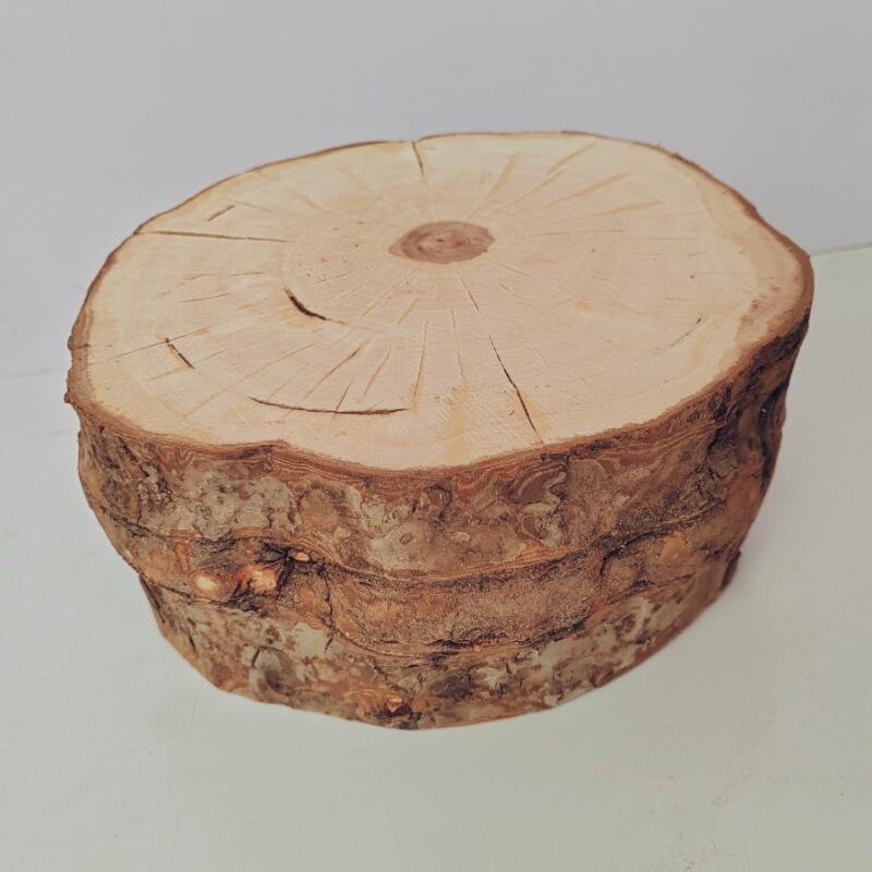 Apple Wood Stump Natural Apple Wood Log Pet Teething Chew Decorative Ornament Platform for Golden Hamsters and Groundhogs Apple Wood Stump Natural Apple Wood Log Pet Teething Chew Decorative Ornament Platform for Golden Hamsters and Groundhogs