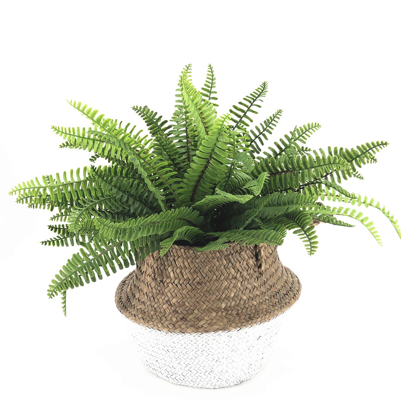 Emulated ferns plant Ribs Grass Mini version Persian ferns Foliage Tropical Rainforest Decoration Shop Window for View placing plants