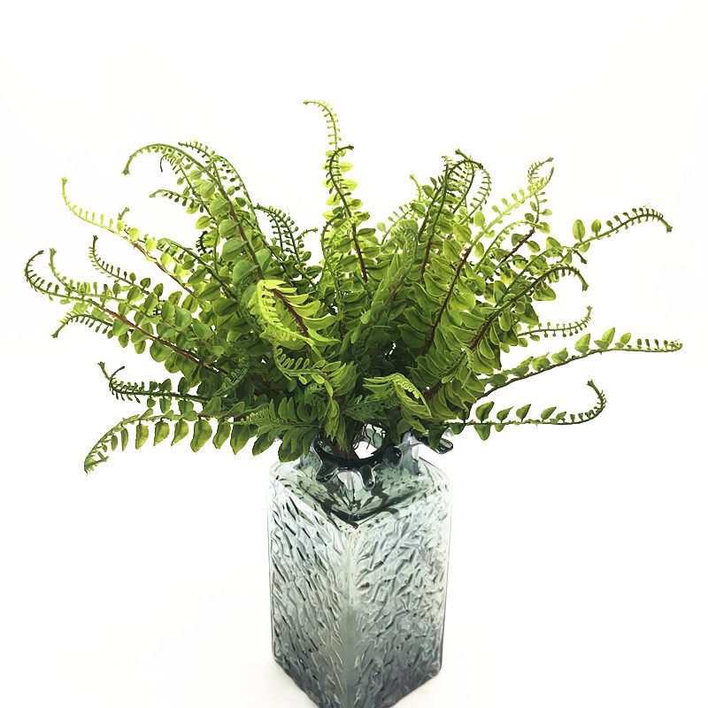 Simulation Tropical Rainforest Plant Fern Grass Home Residence Decoration Green Melon Seed Fern Soft Fit View Plant Wall Matching Ferns